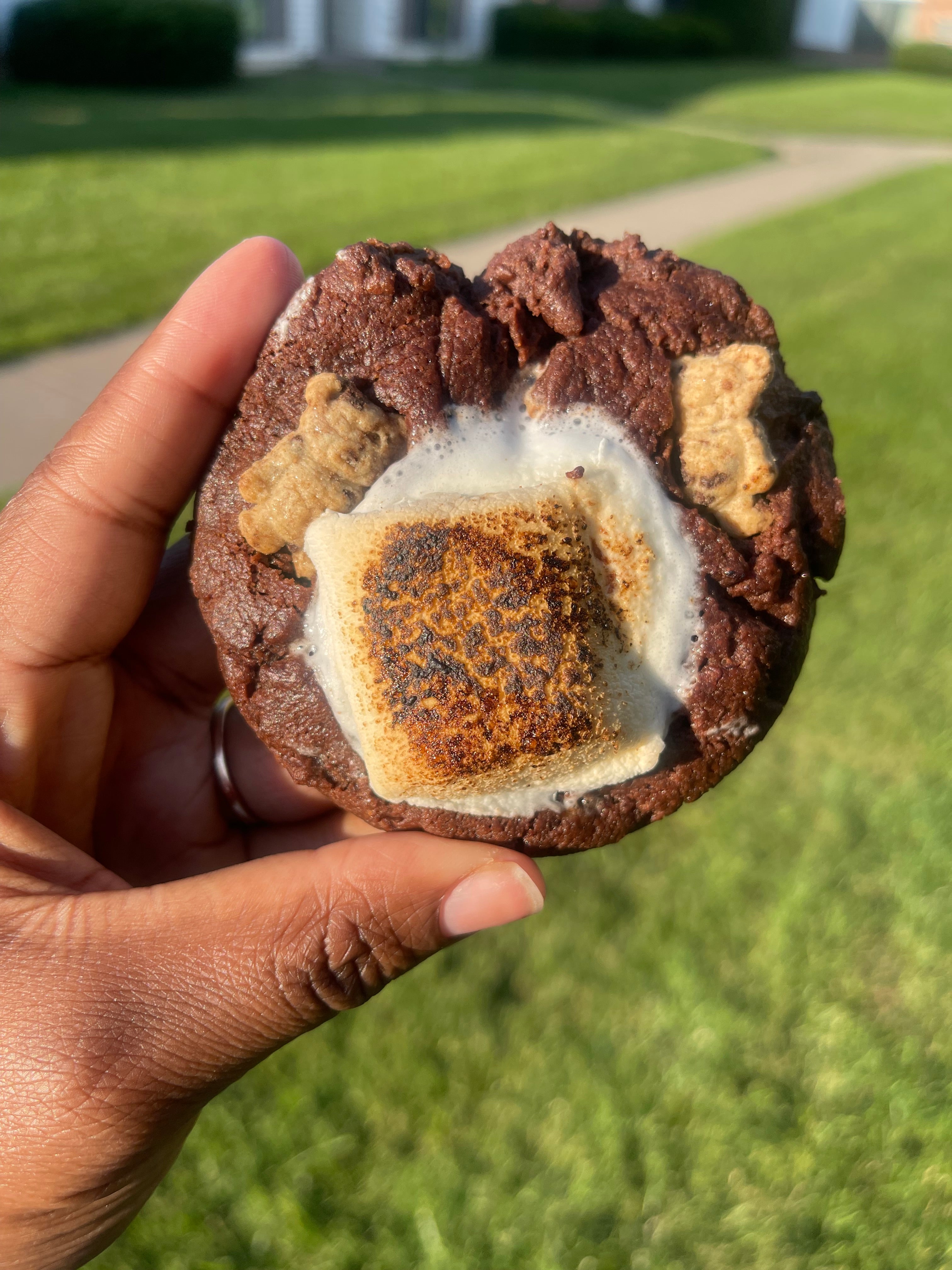 Toasted Double Chocolate S’mores