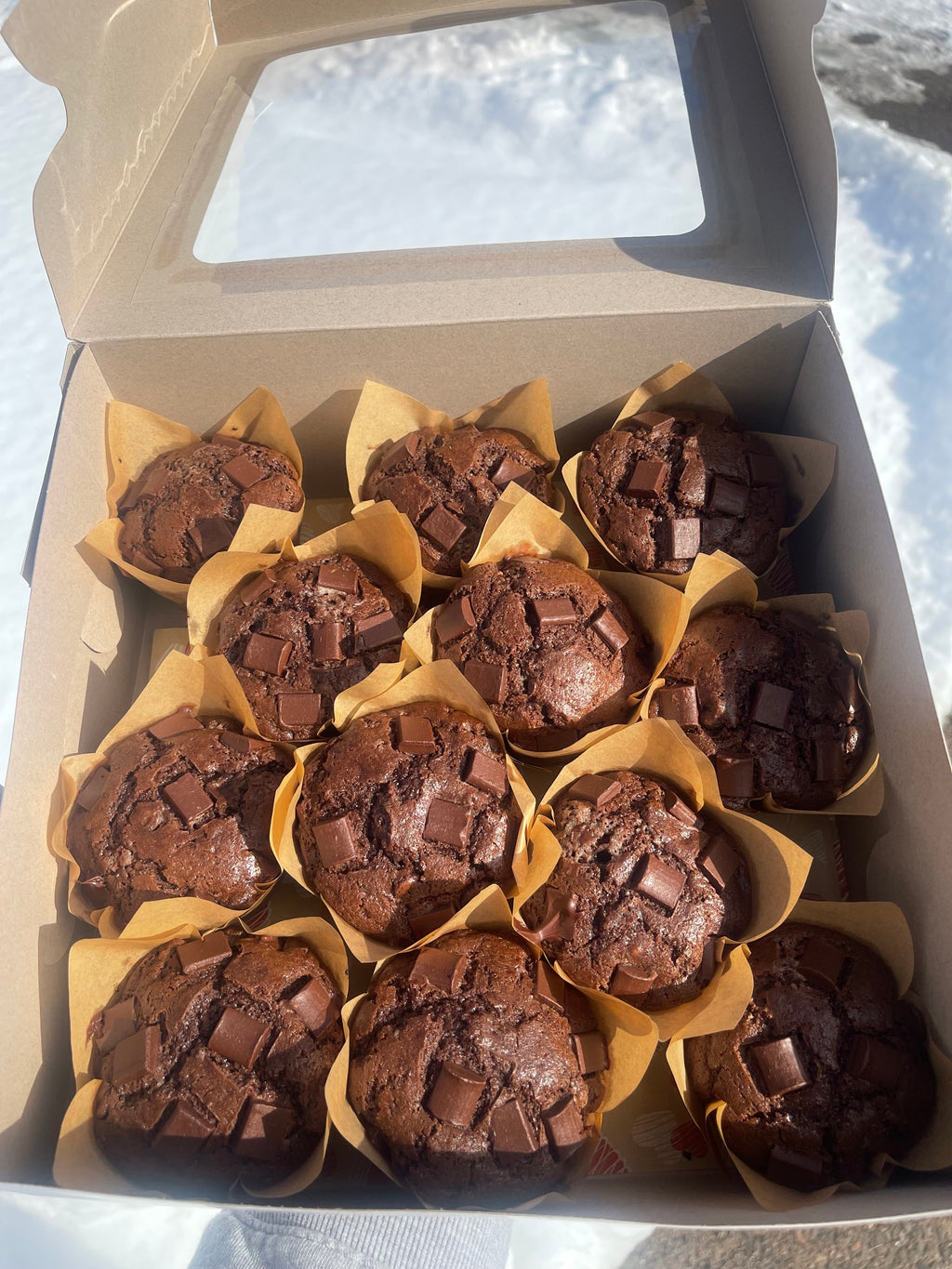 Double Chocolate Muffin