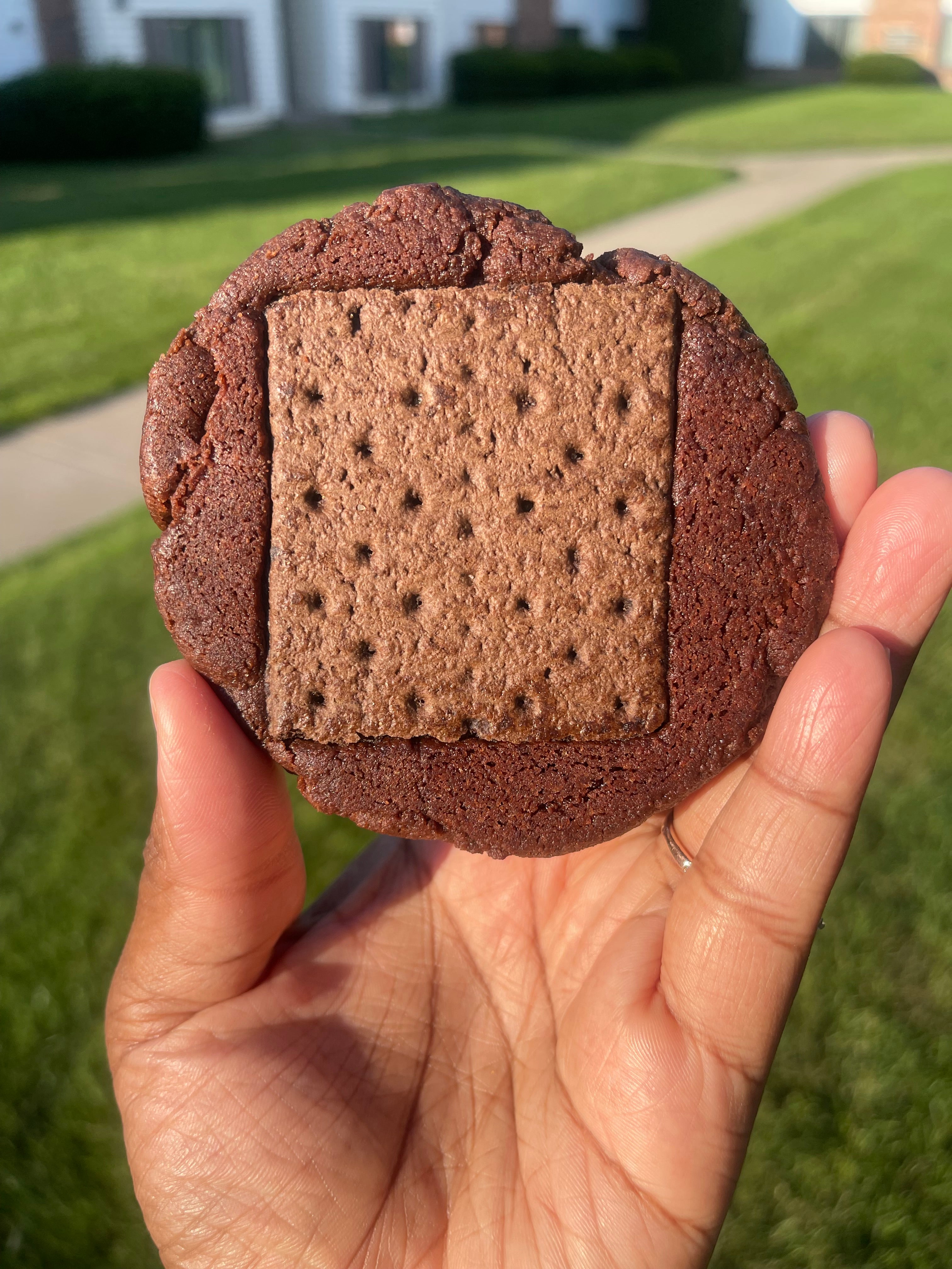 Toasted Double Chocolate S’mores