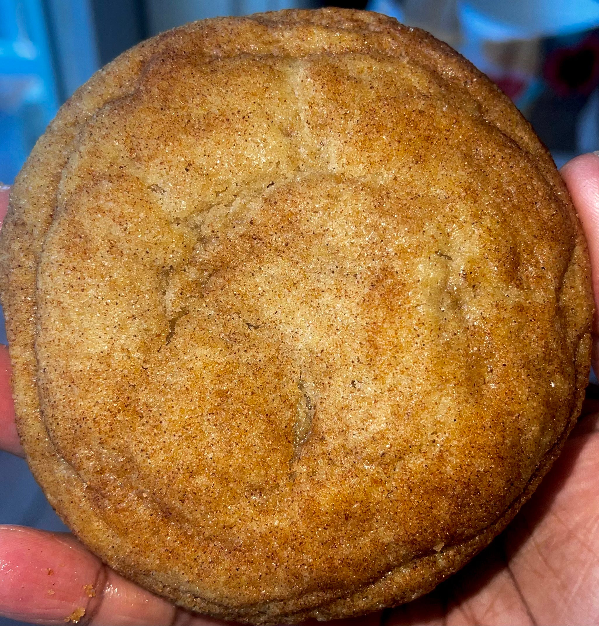 Snickerdoodle Cookies