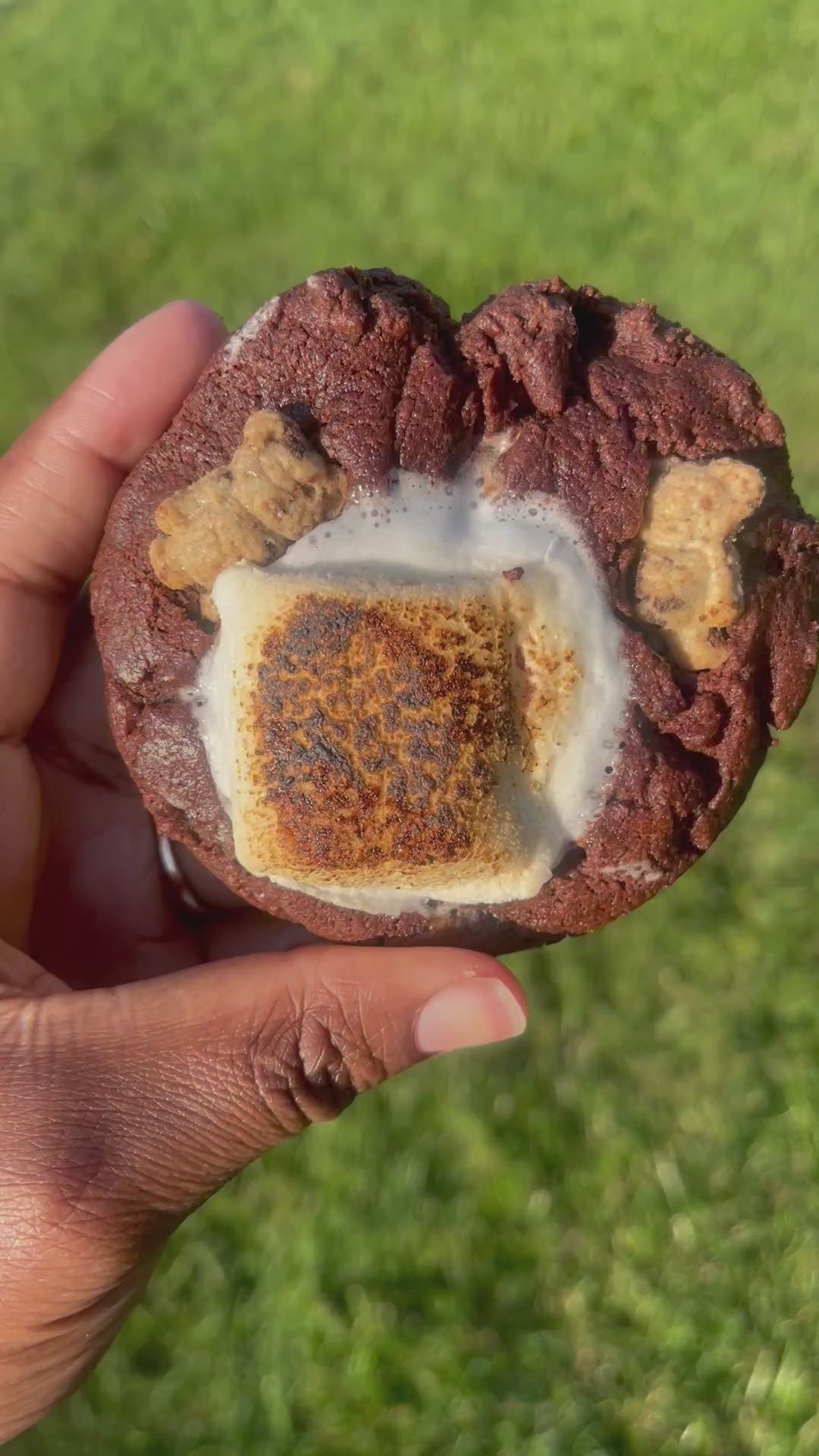 Toasted Double Chocolate S’mores